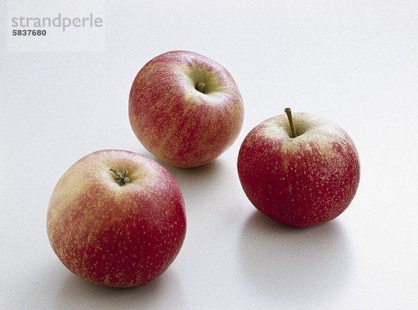 Drei Äpfel der Sorte Ingrid Marie