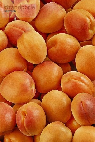 Viele Aprikosen (bildfüllend)
