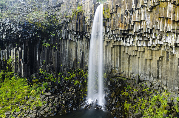 Wasserfall Svartifoss  Basaltsäulen  Skaftafell Nationalpark  Austurland oder Ostisland  Island  Europa
