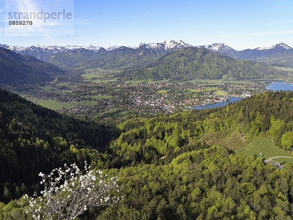 Rottach-Egern und Tegernsee  Tegernseer Tal  Blick vom Riederstein  Mangfallgebirge  Oberbayern  Bayern  Deutschland  Europa
