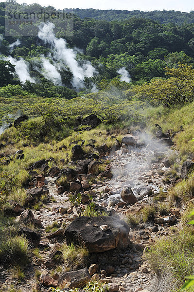 Fumarolen  Nationalpark Rincon de la Vieja  Provinz Guanacaste  Costa Rica  Mittelamerika