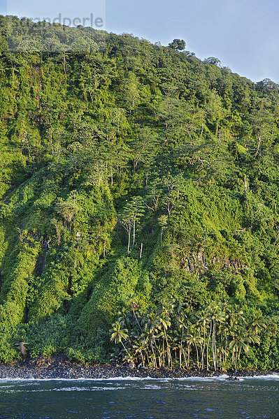 Primärwald  Insel Cocos  Costa Rica  Mittelamerika