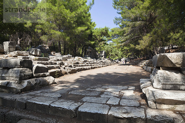 Hauptstraße der antiken Stadt Phaselis  Lykien  Türkei  Kleinasien