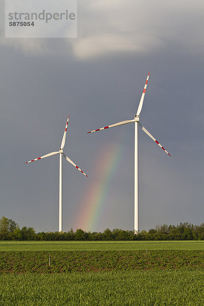 Windpark im Marchfeld  Niederösterreich  Österreich  Europa