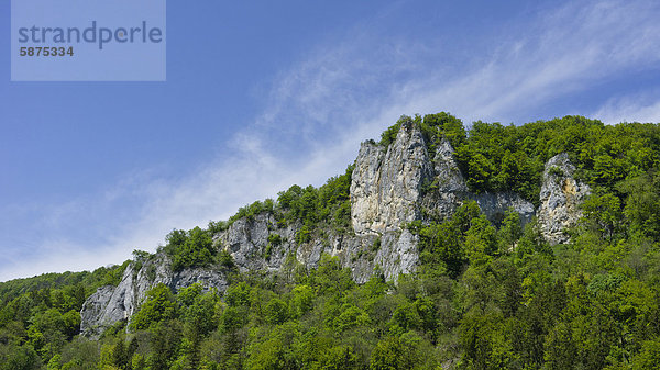 Eichfels  Naturpark obere Donau  Oberes Donautal  Baden-Württemberg  Deutschland  Europa