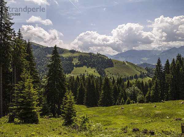 Wanderweg in den Bergen bei Rettenschlöss  Tirol  Österreich  Europa