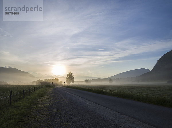 Morgennebel über den Walchsee-Auen  Tirol  Österreich  Europa
