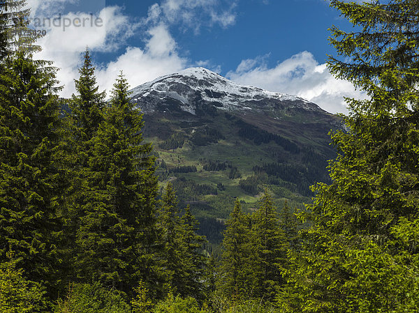 Blick auf den Gernkogel  Pinzgau  Österreich  Europa