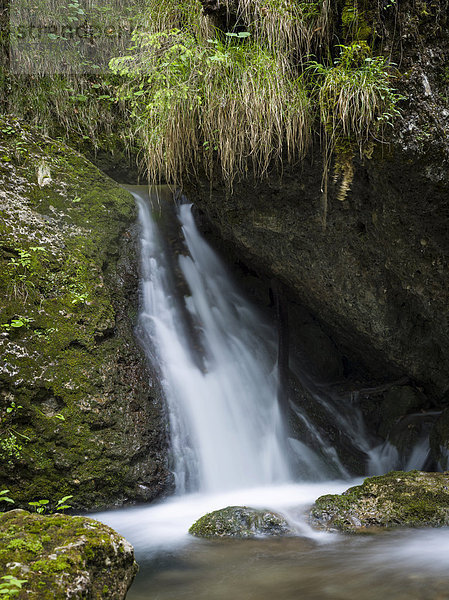 Hinanger Wasserfall  Oberallgäu  Schwaben  Bayern  Deutschland  Europa