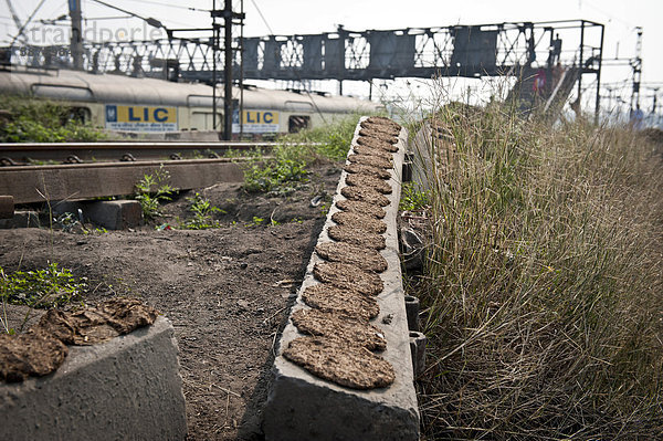 Kuhfladen zum Trocknen auf Eisenbahnschwelle  Stadtteil Shibpur  Haora oder Howrah  Kolkata oder Kalkutta  Westbengalen  Ostindien  Indien  Asien