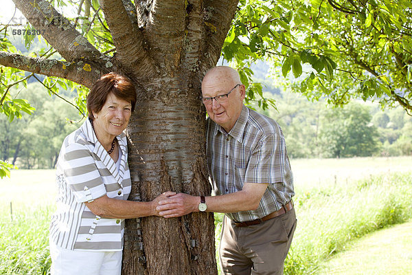 Älteres Ehepaar  Senioren  Rentner  70-80 Jahre  Baum  in Bengel  Rheinland-Pfalz  Deutschland  Europa