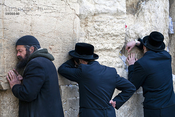 Männer beten an der Klagemauer  jüdische Viertel von Western Wall Plaza  Altstadt  Jerusalem  Israel  Nahost