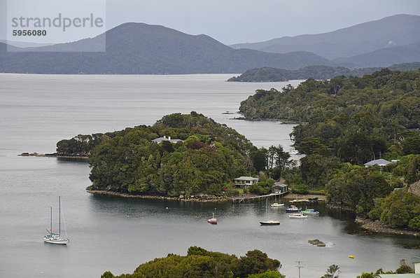 Stewart Island  Neuseeland  Pazifik