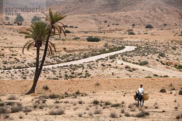 Junge auf einem Esel in eine ausgedörrte Landschaft  Gabes  Tunesien  Nordafrika  Afrika