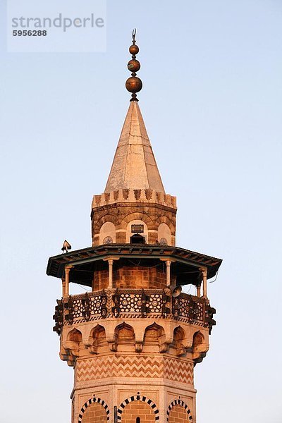 Minarett  Tunis  Tunesien  Nordafrika  Afrika