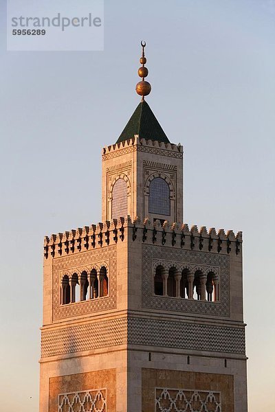 Große Moschee (Ezzitouna Moschee) Minarett  Tunis  Tunesien  Nordafrika  Afrika