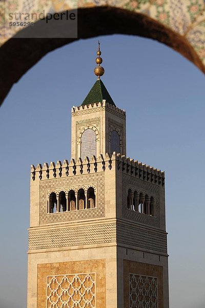 Große Moschee (Ezzitouna Moschee) Minarett  Tunis  Tunesien  Nordafrika  Afrika