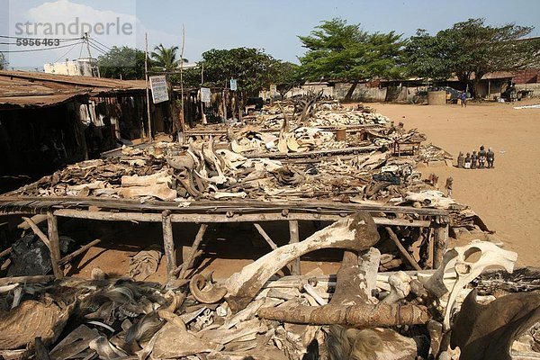 Akodessewa Fetisch Markt  Lome  Togo  Westafrika  Afrika