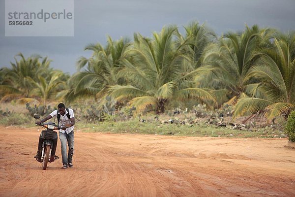 Afrikanische Straße  Ouidah  Benin  Westafrika  Afrika