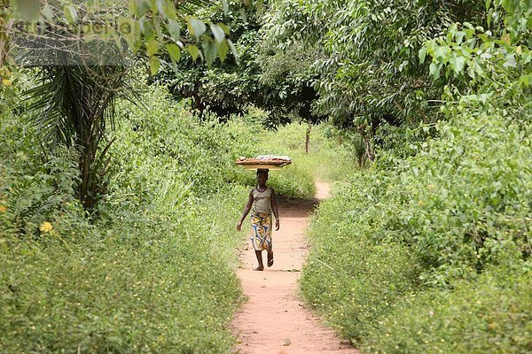 Hersteller  Tori  Benin  Westafrika  Afrika