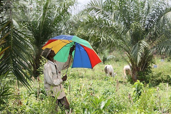 Viehzüchter  Tori  Benin  Westafrika  Afrika