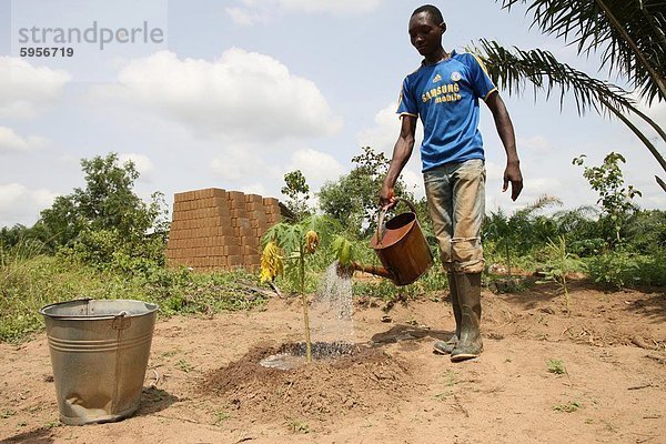 Mann  die Bewässerung von Pflanzen  Tori  Benin  Westafrika  Afrika