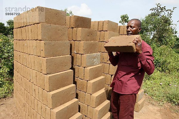 Mann laden Ziegeln  Tori  Benin  Westafrika  Afrika