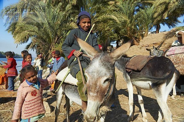 Ramadi Dorf  Niltal zwischen Luxor und Aswan  Ägypten  Nordafrika  Afrika