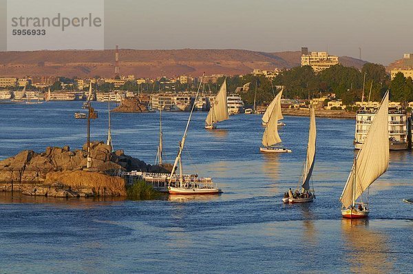 Feluccas auf dem Nil  Assuan  Ägypten  Nordafrika  Afrika