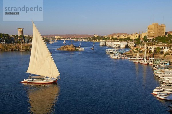 Feluccas auf dem Nil  Assuan  Ägypten  Nordafrika  Afrika