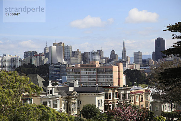 Skyline  San Francisco  California  Vereinigte Staaten von Amerika  Nordamerika