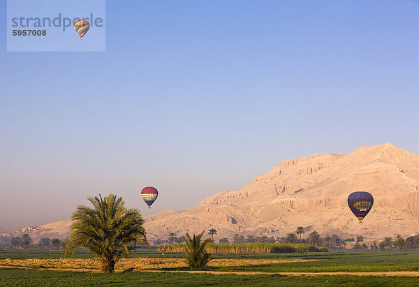 Heißluftballone ausgesetzt über grüne Felder und Palmen in der Nähe von Luxor  Theben  Ägypten  Nordafrika  Afrika