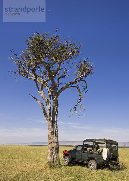 Ein ruhiges Picknick-Halt in der Masai Mara  Kenia  Ostafrika  Afrika