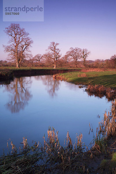 Fluss Culm  in der Nähe von Rewe  Devon  England  Vereinigtes Königreich  Europa