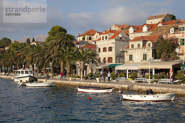 Traditionelle Fischerboote und Waterfront  Cavtat  Dalmatien  Kroatien  Europa