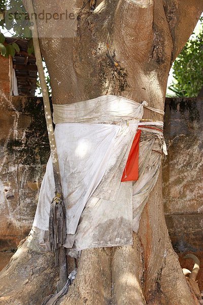 Voodoo heiliger Baum in Togoville  Togo  Westafrika  Afrika