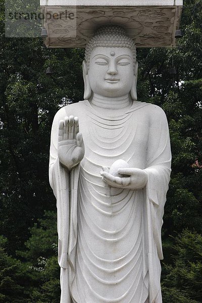 Statue des Maitreya  Buddha der Zukunft  Bongeunsa-Tempel  Seoul  Südkorea  Asien