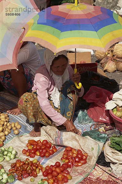 Eine Frau  sitzend auf dem Boden  halten einen gestreiften Schirm als ein Sonnenschirm  Tomaten und anderes Gemüse auf einem Markt verkaufen Toraja Region  Sulawesi  Indonesien  Südostasien  Asien