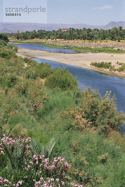 Fluss Draa  Draa-Tal  Marokko  Nordafrika  Afrika