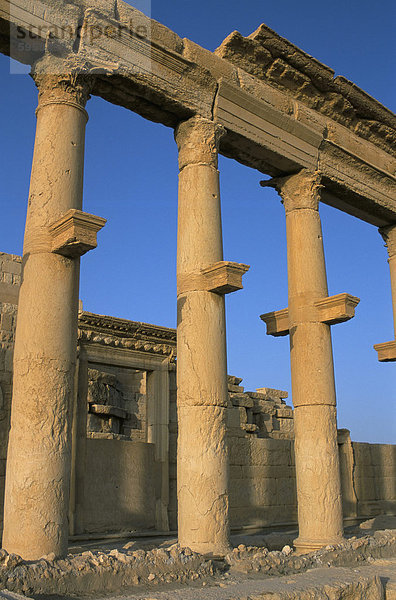 Ruinen der Kolonnade  Palmyra  UNESCO Weltkulturerbe  Syrien  Naher Osten