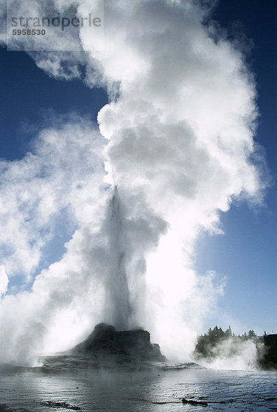 Castle-Geysir  Upper Geyser Basin  Yellowstone National Park  UNESCO World Heritage Site  Wyoming  Vereinigte Staaten von Amerika (U.S.A.)  Nordamerika