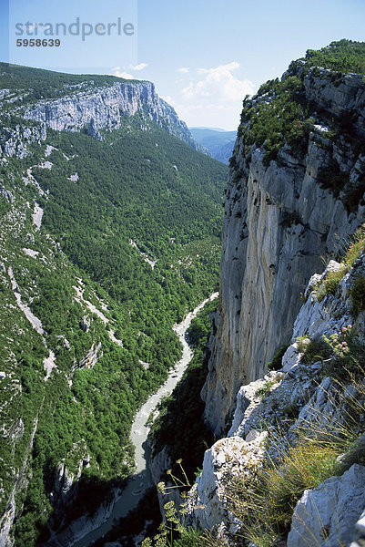 Fluss Verdon in der Grand Canyon von Verdon  Alpes-de-Haute-Provence  Provence  Frankreich  Europa