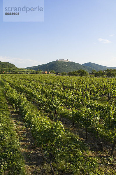 Stift Gottweig  in der Nähe von Krems an der Donau  Wachau  Österreich  Europa