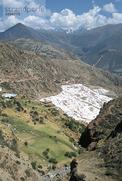 Inca Salinen unter Salz Frühling  Salineras de Maras  Sacred Valley  Cuzco Gebiet (Urubamba)  Peru  Südamerika