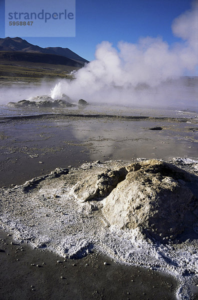 El Tatio Geysire und Fumarolen  Anden auf 4300m  nördlichen Bereich  Chile  Südamerika