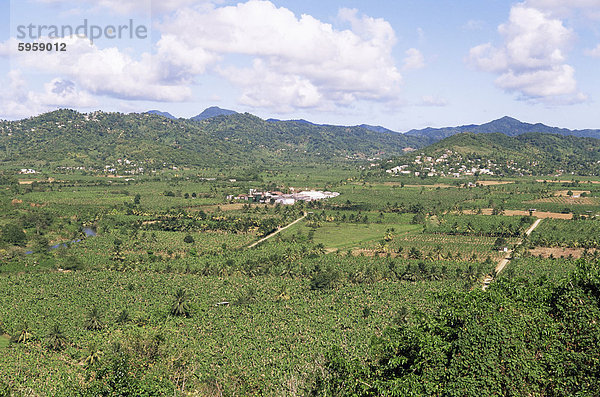 Landschaft mit Bananenplantagen  St. Lucia  Windward-Inseln  West Indies  Caribbean  Central America