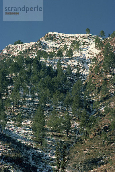 In der Nähe von Murghazar  Swat  Pakistan  Asien