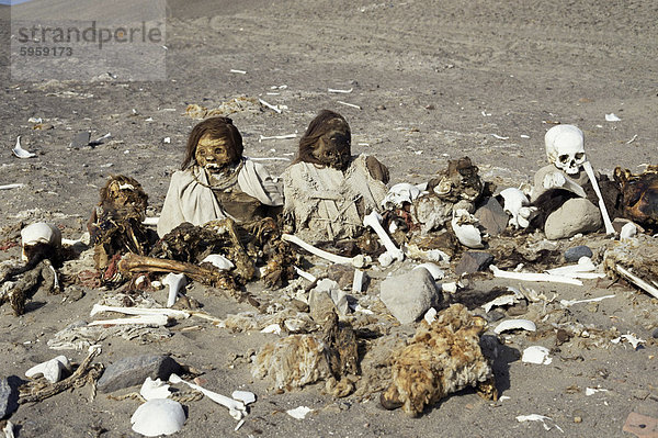 Menschliche Überreste erhalten mehr als 500 Jahren  der Friedhof von Chauchilla  Nazca  Peru  Südamerika