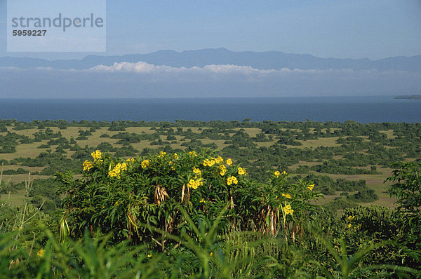 Eduardsee im Hintergrund  Queen Elizabeth National Park  Uganda  Ostafrika  Afrika