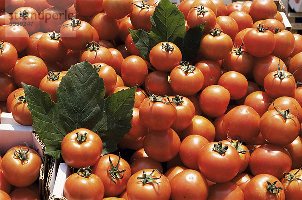 Tomaten am Markt Abwürgen  Kingston upon Thames  Surrey  England  Vereinigtes Königreich  Europa